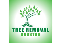 Tree Removal Houston