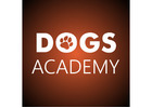 Dogs Academy