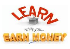 Earning $900 Daily? Just 2 Hours & WiFi Required!