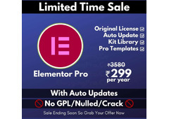 Buy Elementor pro activate with original licence key