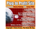 Work From Home Step By Step System!