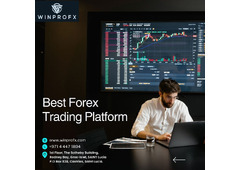 Explore the Perfect Forex Trading Platform for Your Needs