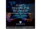 Start Your Forex Trading Journey as a Beginner