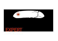 Welcome to Expert Auto Glass Surrey
