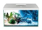 Oasis Aquariums: Top-Rated Aquarium Store in Sydney