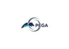 Pega Training in Chennai