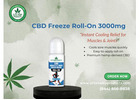 Fast Relief with CBD Freeze Roll-On 3000mg
